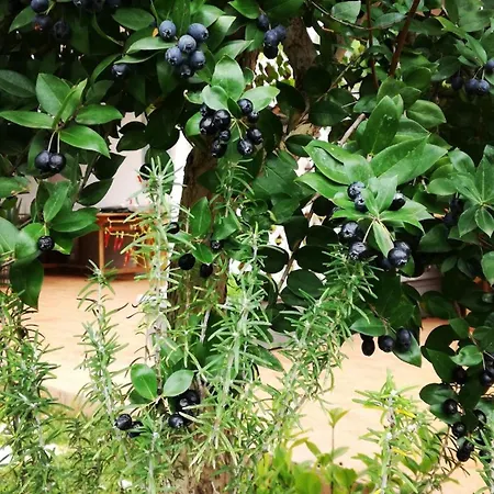 Lägenhet Da Barnaba *