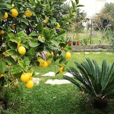 Lägenhet Da Barnaba *