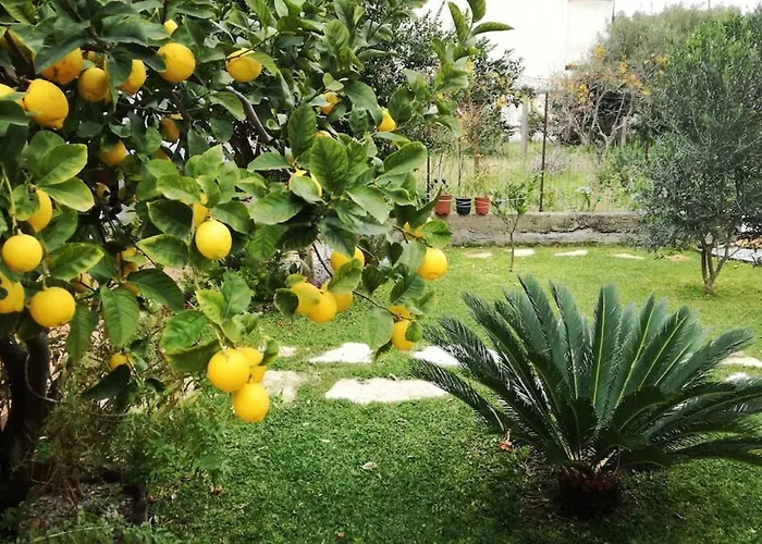 Apartamento Da Barnaba *