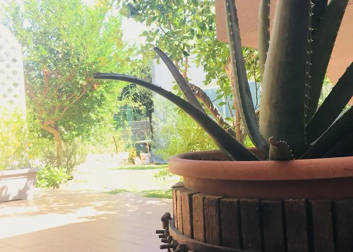 Da Barnaba Apartamento